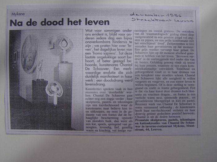 DECEMBER STREEKKRANT1996 LEUVEN
Kunstkritici spreken vaak in recensies over 